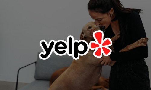 YELP YELP
